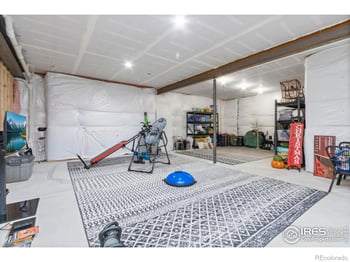 1907 Spring Bloom Dr, Windsor, CO 80550