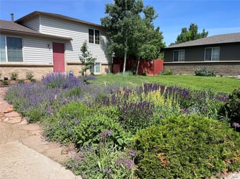 1531 Queen St, Denver, CO 80232