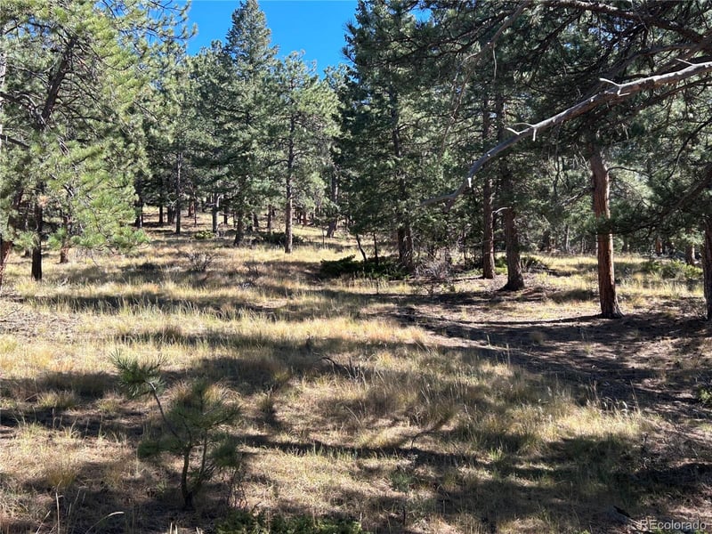 00 White House Trl, Evergreen, CO 80439
