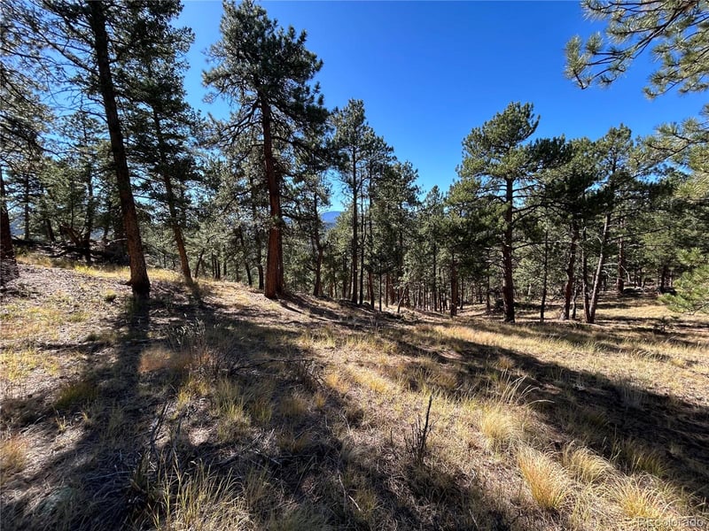 00 White House Trl, Evergreen, CO 80439