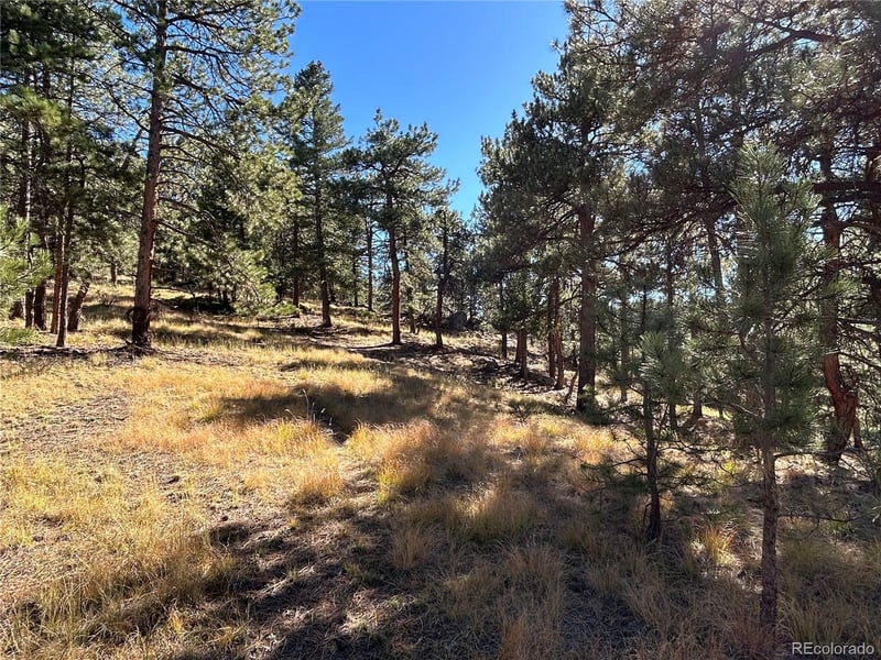 00 White House Trl, Evergreen, CO 80439