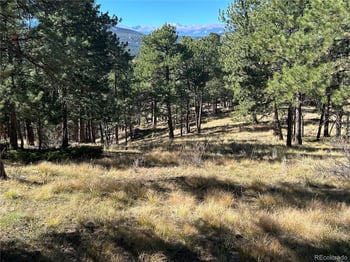 00 White House Trl, Evergreen, CO 80439