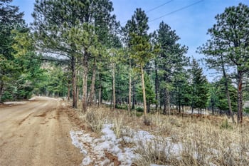 Rock Ridge Rd, Palmer Lake, CO 80133