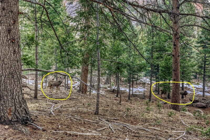 Rock Ridge Rd, Palmer Lake, CO 80133