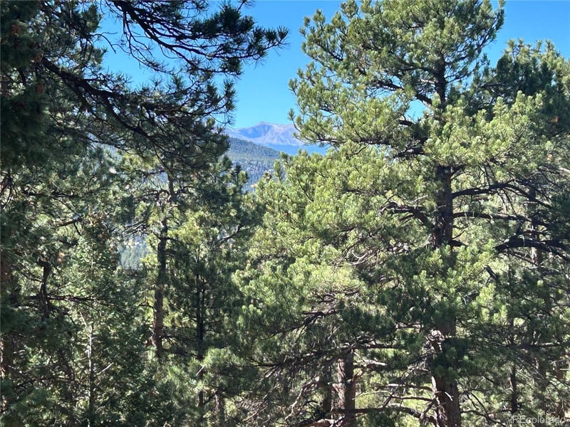 0 White House, Evergreen, CO 80439