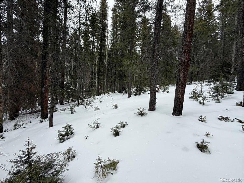 Lot 2805 Moir Dr, Fort Garland, CO 81133