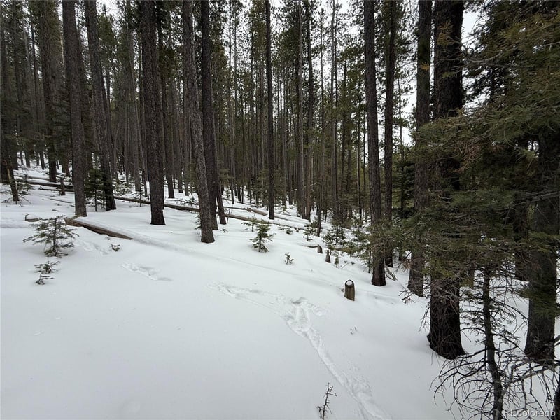 Lot 2805 Moir Dr Lot 2805, Fort Garland, CO 81133