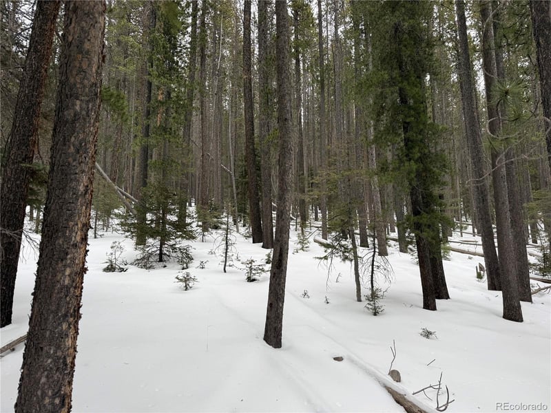 Lot 2805 Moir Dr Lot 2805, Fort Garland, CO 81133