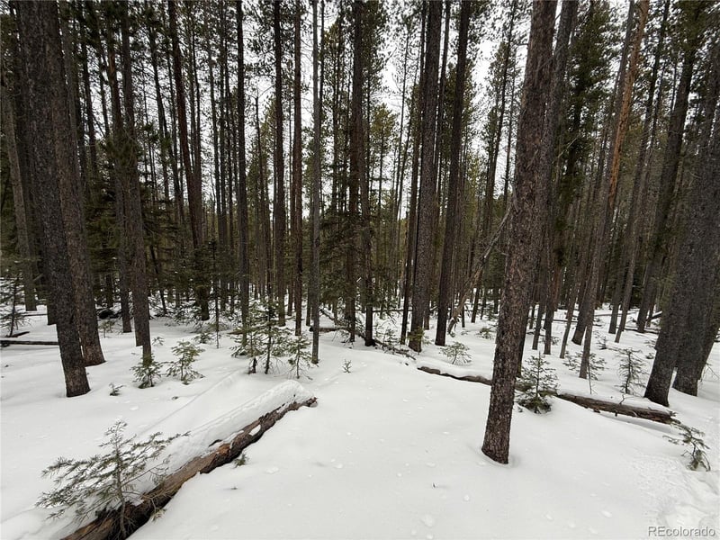 Lot 2805 Moir Dr Lot 2805, Fort Garland, CO 81133