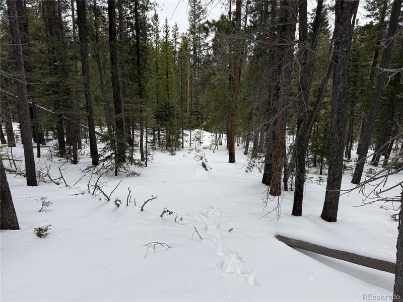 Lot 2806 Moir Dr Lot 2806, Fort Garland, CO 81133