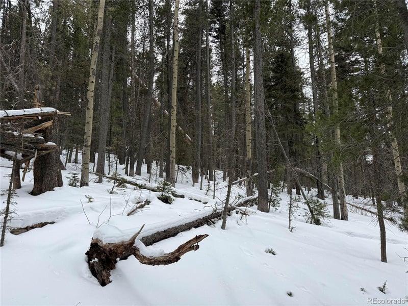 Lot 2806 Moir Dr Lot 2806, Fort Garland, CO 81133