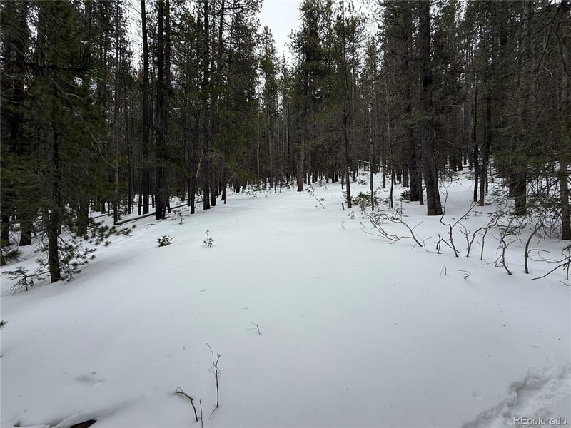 Lot 2806 Moir Dr Lot 2806, Fort Garland, CO 81133