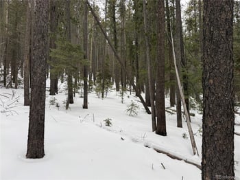 Lot 2759 Purnell Ln, Fort Garland, CO 81133