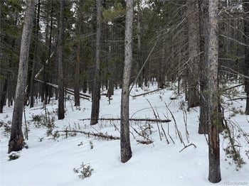 Lot 2759 Purnell Ln, Fort Garland, CO 81133