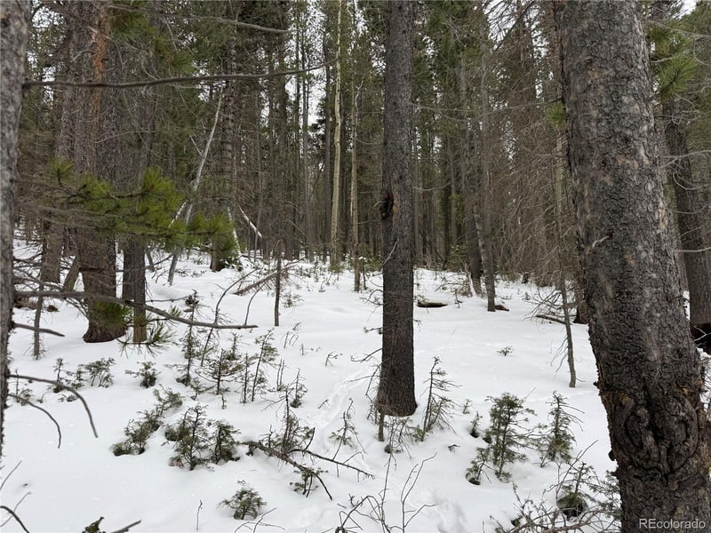 Lot 2759 Purnell Ln Lot 2759, Fort Garland, CO 81133