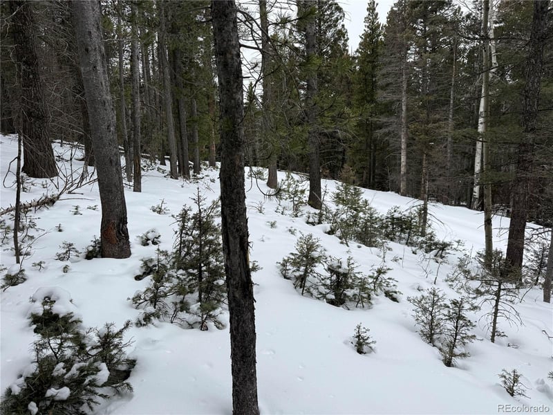 Lot 2759 Purnell Ln Lot 2759, Fort Garland, CO 81133