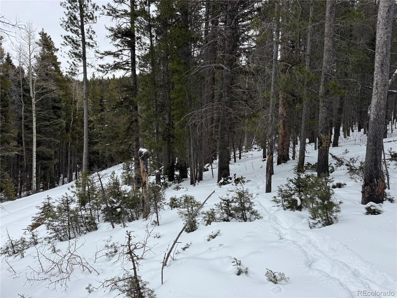 Lot 2759 Purnell Ln Lot 2759, Fort Garland, CO 81133