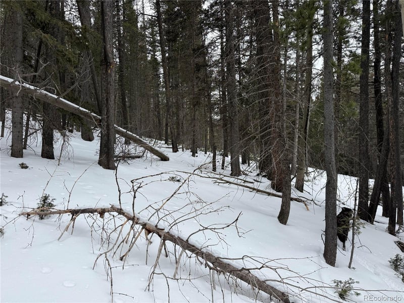 Lot 2759 Purnell Ln Lot 2759, Fort Garland, CO 81133