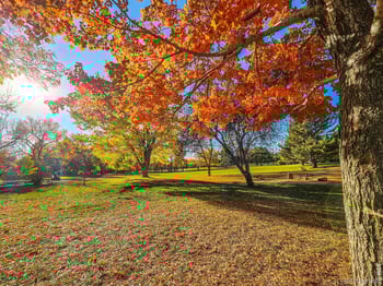 4799 White Rock Cir #D, Boulder, CO 80301