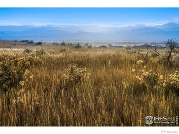 7929 County Road 84, Fort Collins, CO 80524