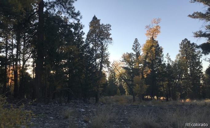 109 Deer Rn, Mosca, CO 81146