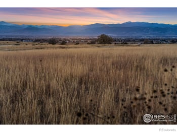 7923 County Road 84, Fort Collins, CO 80524