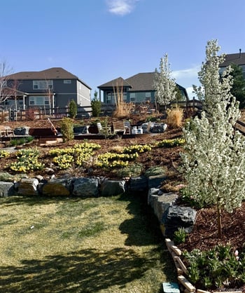 17840 95th Pl, Arvada, CO 80007