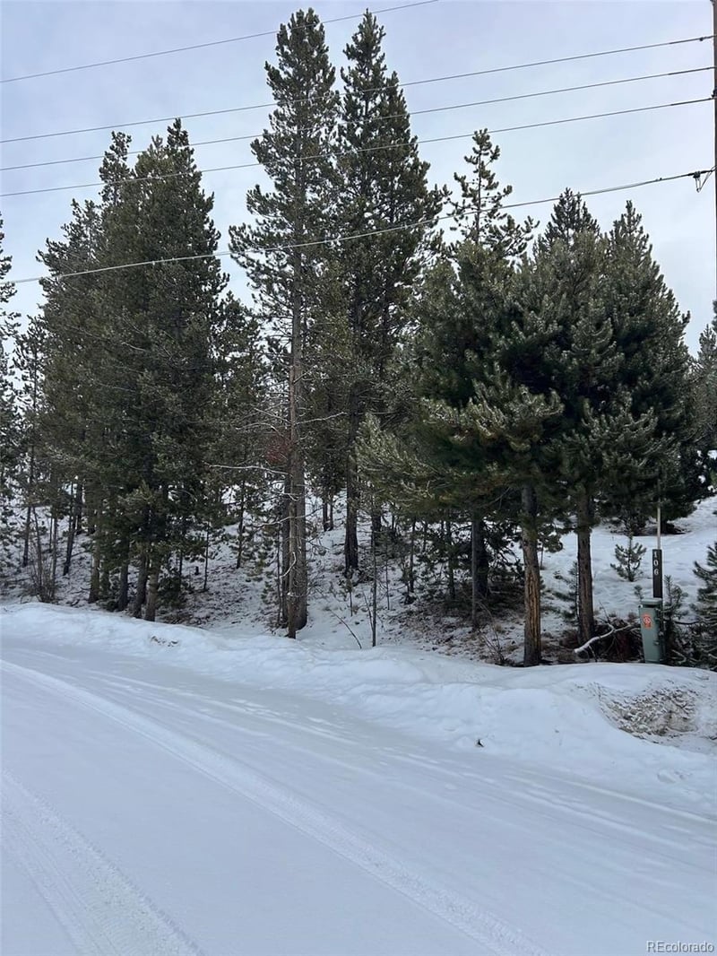 Mustang Trl, Grand Lake, CO 80447