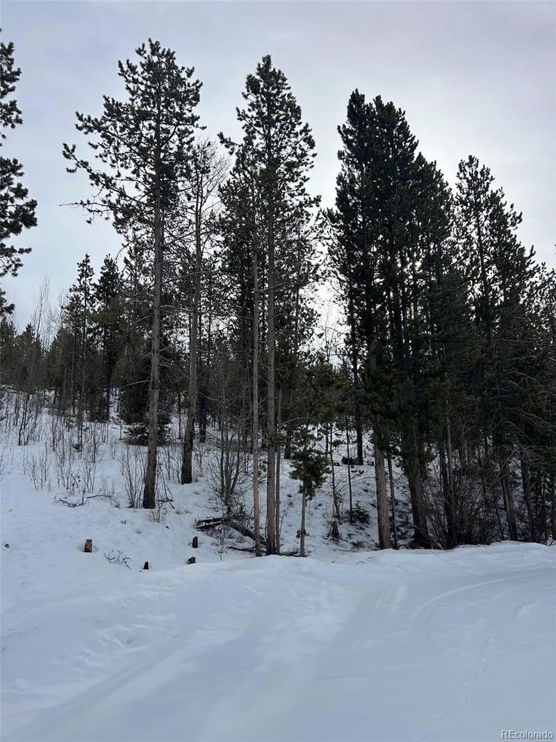 Mustang Trl, Grand Lake, CO 80447