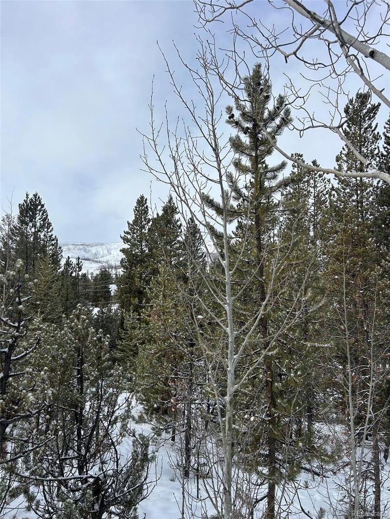Mustang Trl, Grand Lake, CO 80447