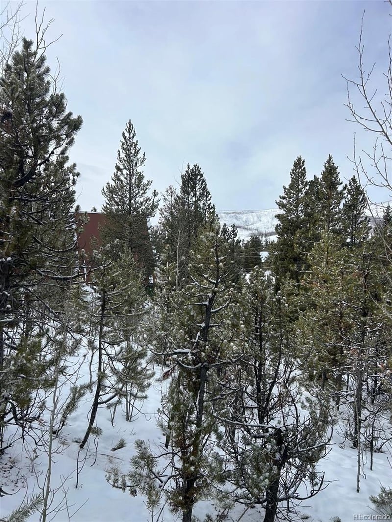 Mustang Trl, Grand Lake, CO 80447