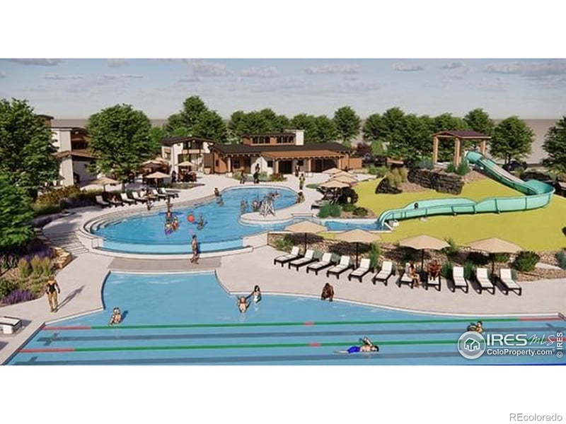 1742 Drumming Dr, Windsor, CO 80550