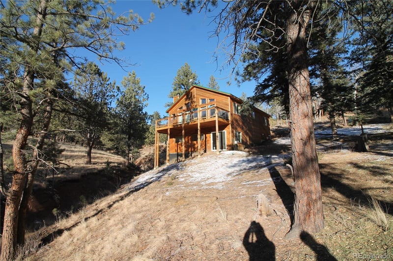 11845 S Stallion Dr, Pine, CO 80470