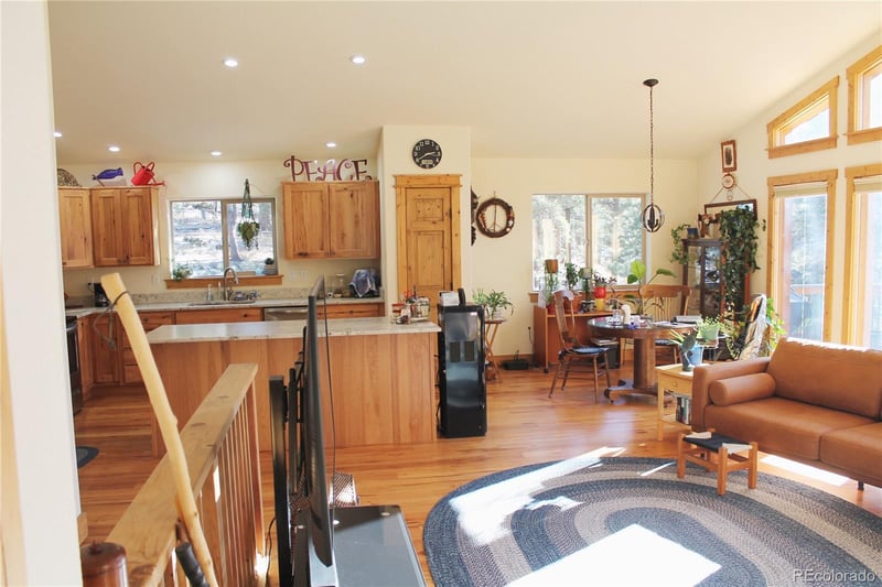 11845 S Stallion Dr, Pine, CO 80470