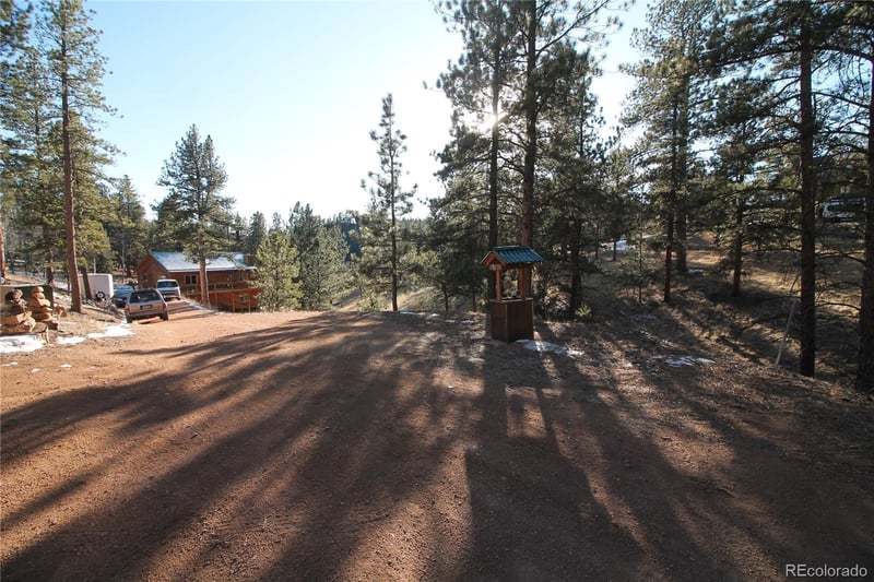 11845 Stallion Dr, Pine, CO 80470
