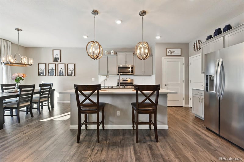 14101 Scarlet Sage St, Parker, CO 80134