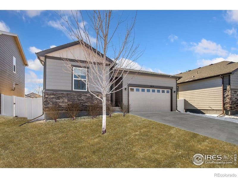 1819 Paley Dr, Windsor, CO 80550