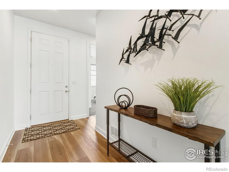 1819 Paley Dr, Windsor, CO 80550