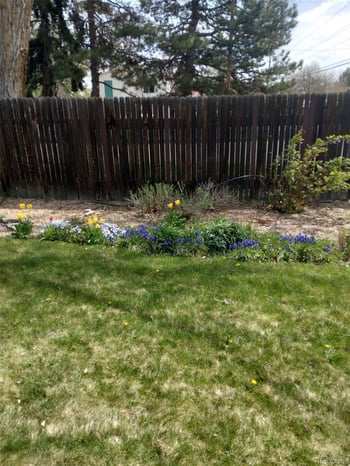 10610 78th Ave, Arvada, CO 80005