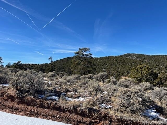 Lot 4554 Clausen Rd, Fort Garland, CO 81133