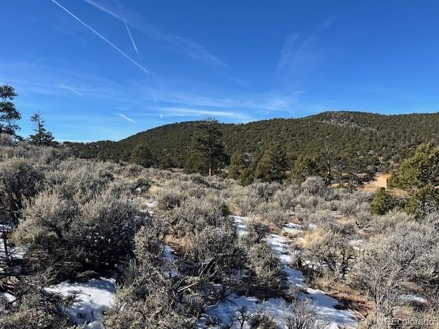 Lot 4554 Clausen Rd, Fort Garland, CO 81133