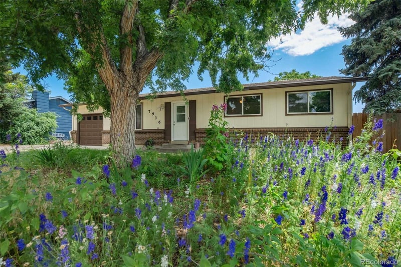 7936 Eaton St, Arvada, CO 80003