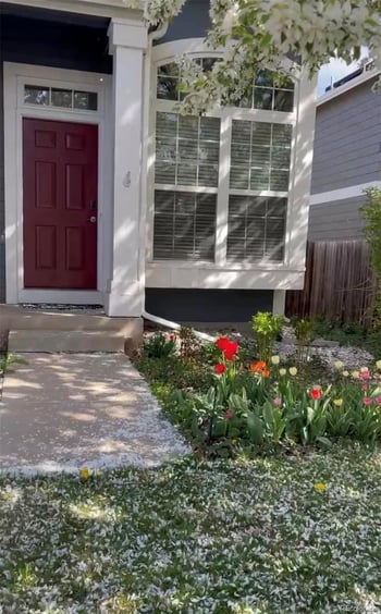 1031 Delta Dr, Lafayette, CO 80026