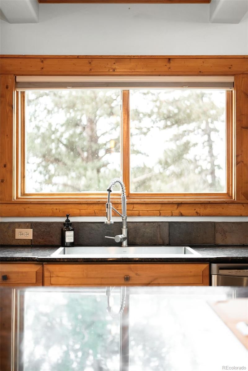 229 Mohawk Trl, Pine, CO 80470