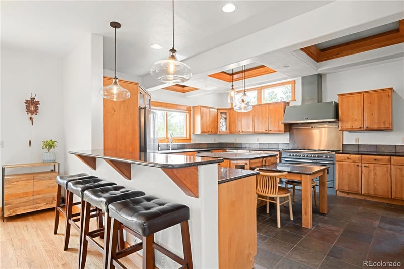 229 Mohawk Trl, Pine, CO 80470