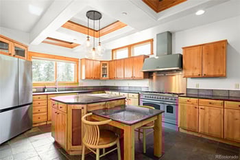 229 Mohawk Trl, Pine, CO 80470