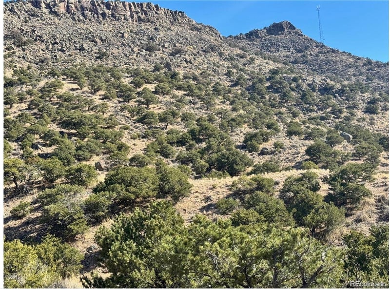 Lot 2446 Zuni Rd, Fort Garland, CO 81133