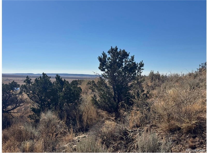 Lot 2446 Zuni Rd, Fort Garland, CO 81133