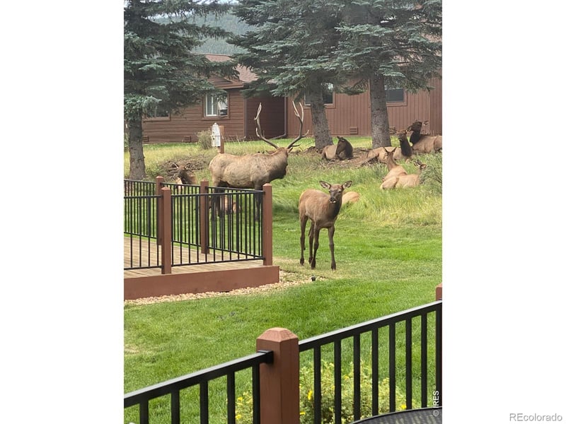1422 Matthew Cir #2, Estes Park, CO 80517