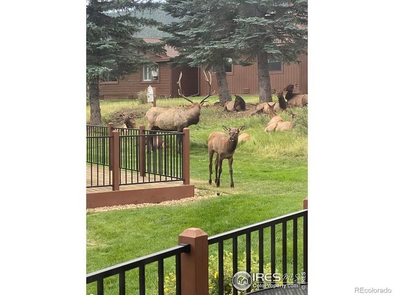 1422 Matthew Cir #2, Estes Park, CO 80517